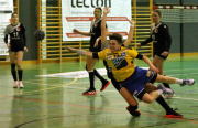 Hypo Niederösterreich löst das Final-Ticket-Handball Hypo NÖ