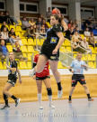 HYPO NÖ zieht souverän ins Finale ein -Handball Hypo NÖ