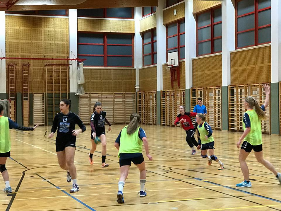 25012017 WU15 Hypo gg Wr Neustadt.jpg-Handball Hypo NÖ