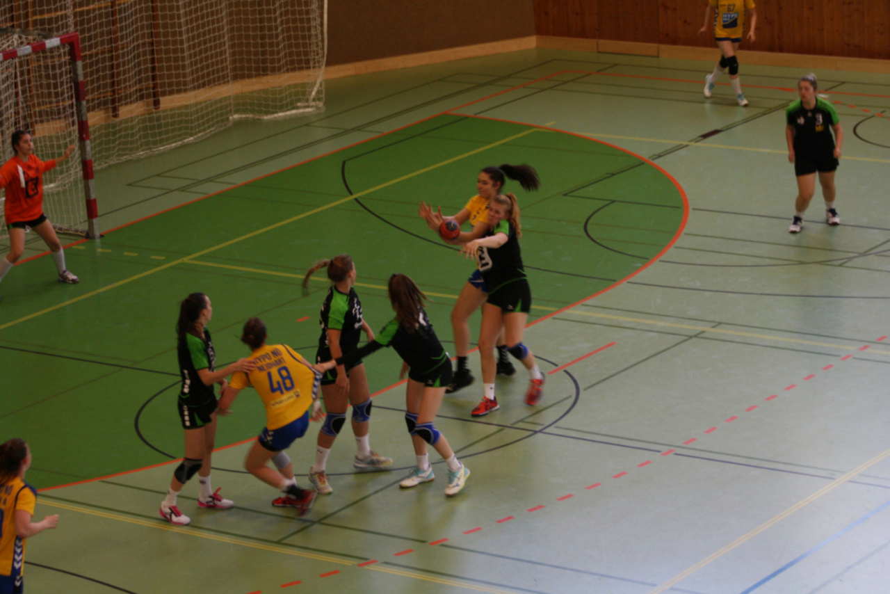 IMG_8380.jpg-Handball Hypo NÖ