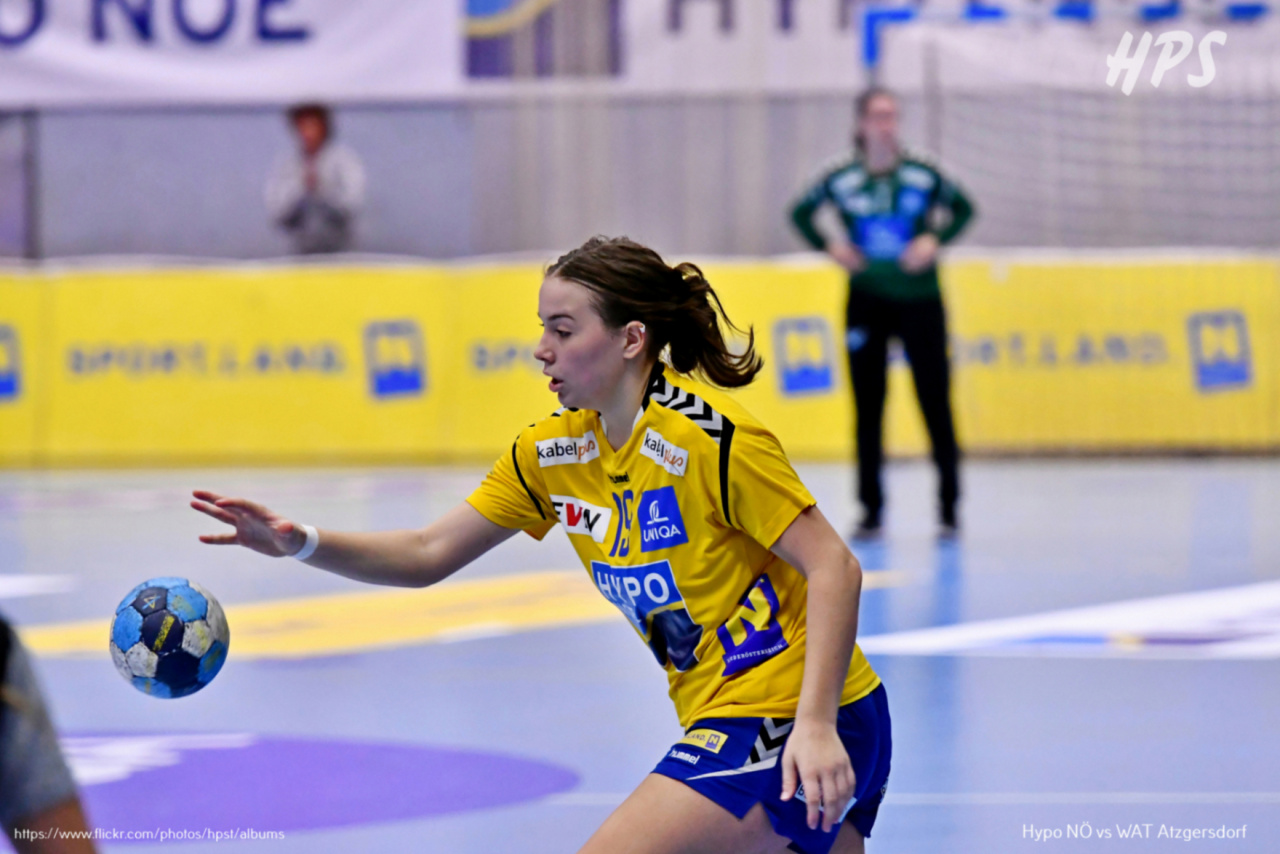 0036371_hypo-vs-atzgersd_48730297258_o.jpg-Handball Hypo NÖ