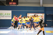 Hypo verkauft sich gegen Sävehof teuer-Handball Hypo NÖ